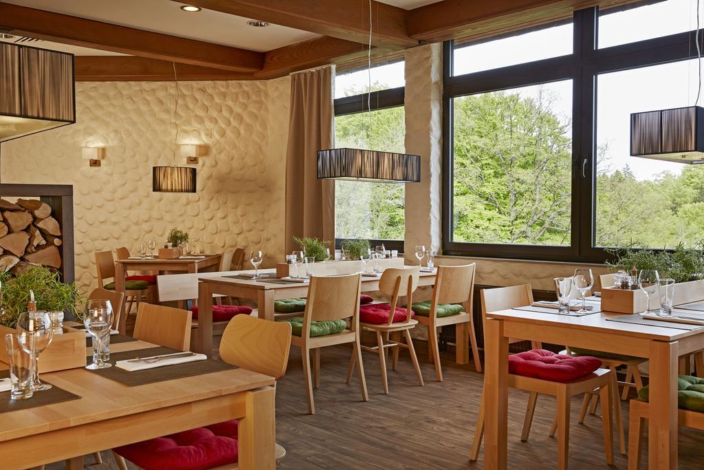 H+ Hotel Willingen Willingen  Exteriör bild